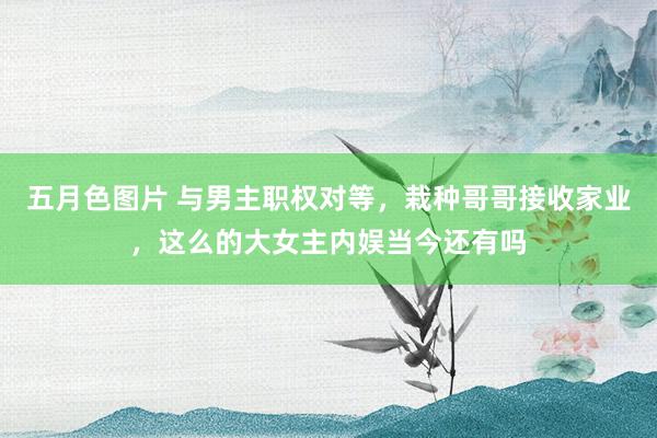 五月色图片 与男主职权对等，栽种哥哥接收家业，这么的大女主内娱当今还有吗