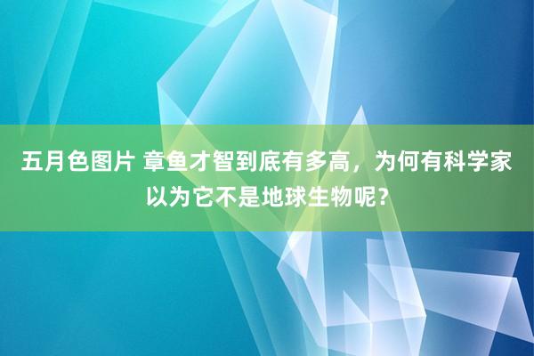 五月色图片 章鱼才智到底有多高，为何有科学家以为它不是地球生物呢？