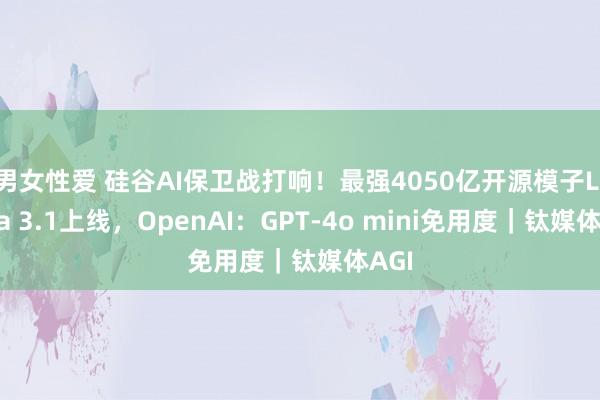 男女性爱 硅谷AI保卫战打响！最强4050亿开源模子Llama 3.1上线，OpenAI：GPT-4o mini免用度｜钛媒体AGI