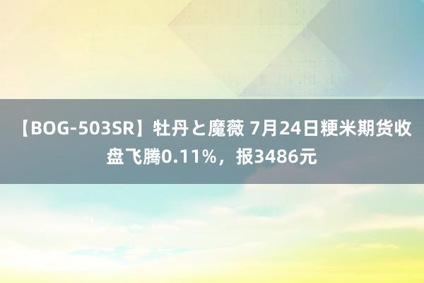 【BOG-503SR】牡丹と魔薇 7月24日粳米期货收盘飞腾0.11%，报3486元