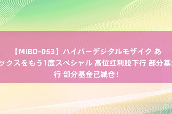 【MIBD-053】ハイパーデジタルモザイク あの娘のセックスをもう1度スペシャル 高位红利股下行 部分基金已减仓！