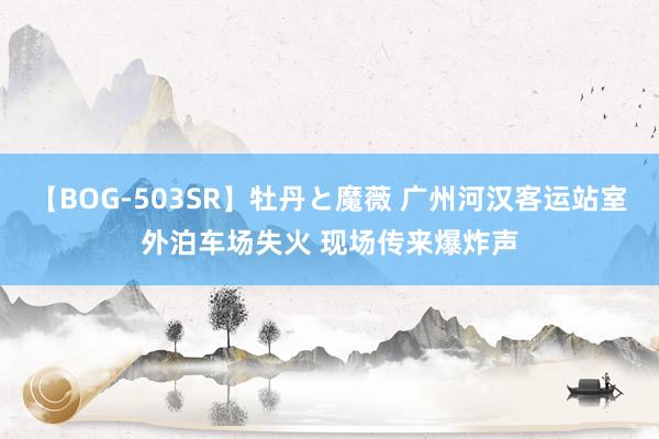 【BOG-503SR】牡丹と魔薇 广州河汉客运站室外泊车场失火 现场传来爆炸声