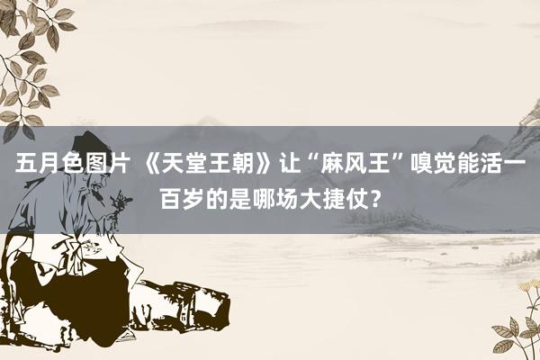 五月色图片 《天堂王朝》让“麻风王”嗅觉能活一百岁的是哪场大捷仗？