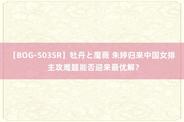 【BOG-503SR】牡丹と魔薇 朱婷归来中国女排 主攻难题能否迎来最优解？