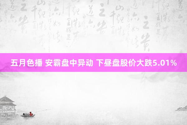 五月色播 安霸盘中异动 下昼盘股价大跌5.01%