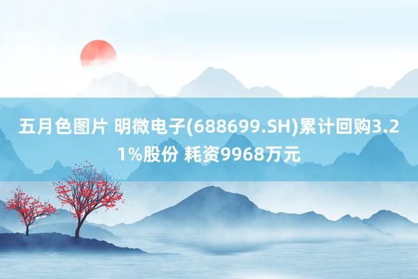 五月色图片 明微电子(688699.SH)累计回购3.21%股份 耗资9968万元