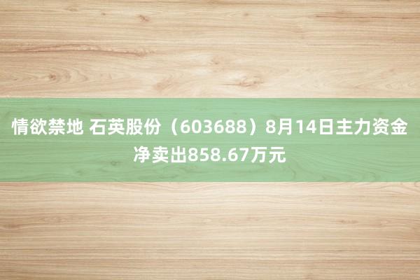 情欲禁地 石英股份（603688）8月14日主力资金净卖出858.67万元