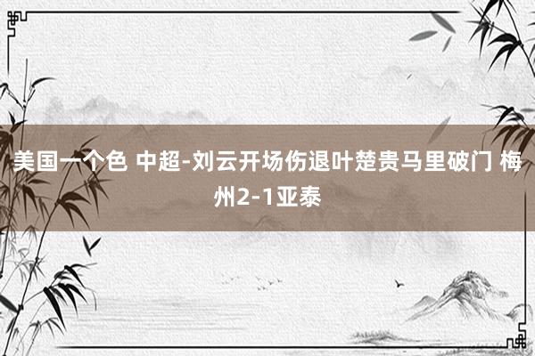 美国一个色 中超-刘云开场伤退叶楚贵马里破门 梅州2-1亚泰