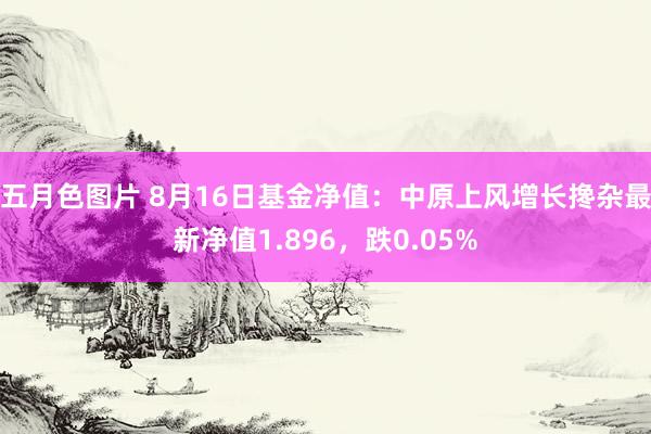 五月色图片 8月16日基金净值：中原上风增长搀杂最新净值1.896，跌0.05%