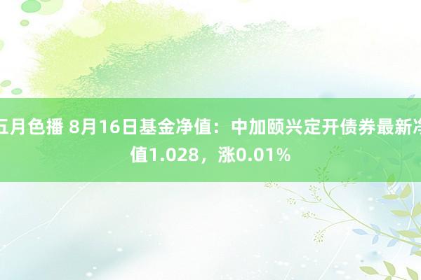 五月色播 8月16日基金净值：中加颐兴定开债券最新净值1.028，涨0.01%