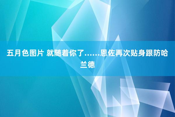 五月色图片 就随着你了......恩佐再次贴身跟防哈兰德