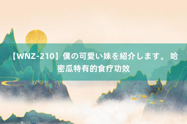 【WNZ-210】僕の可愛い妹を紹介します。 哈密瓜特有的食疗功效