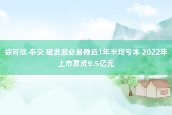 徐可欣 拳交 破发股必易微近1年半均亏本 2022年上市募资9.5亿元