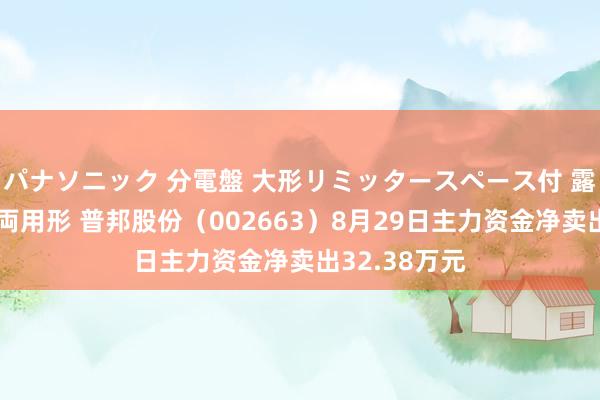 パナソニック 分電盤 大形リミッタースペース付 露出・半埋込両用形 普邦股份（002663）8月29日主力资金净卖出32.38万元