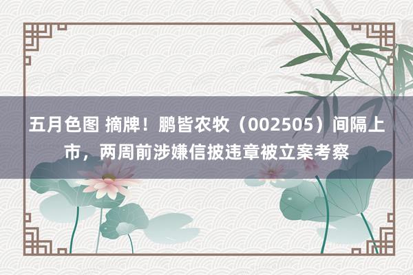 五月色图 摘牌！鹏皆农牧（002505）间隔上市，两周前涉嫌信披违章被立案考察