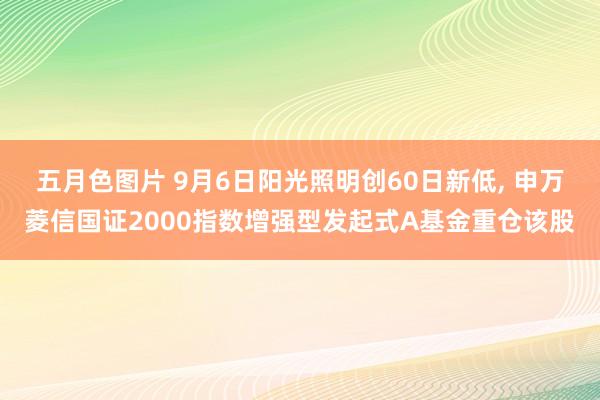 五月色图片 9月6日阳光照明创60日新低， 申万菱信国证2000指数增强型发起式A基金重仓该股