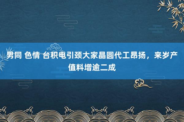 男同 色情 台积电引颈大家晶圆代工昂扬，来岁产值料增逾二成