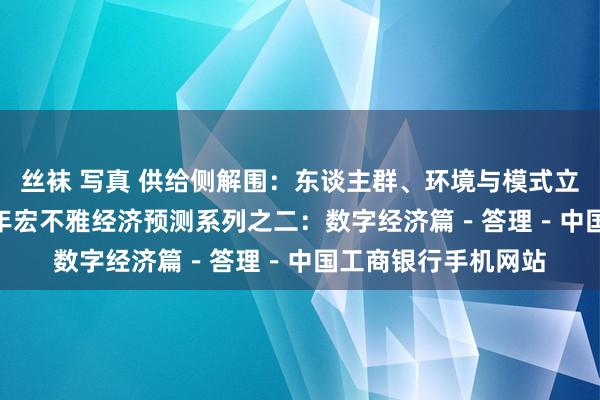 丝袜 写真 供给侧解围：东谈主群、环境与模式立异——2021年下半年宏不雅经济预测系列之二：数字经济篇－答理－中国工商银行手机网站